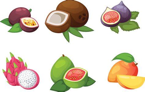 Tropical Fruits Vector Set. Stock Clipart | Royalty-Free | FreeImages