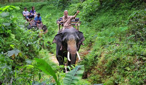 KHAO LAK NATIONAL PARK – ELEPHANT TOUR | Elephant Trekking Tours in Phuket