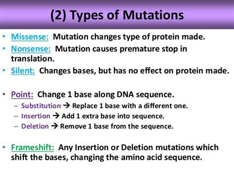 Biology unit 6 dna rna protein synthesis mutation notes