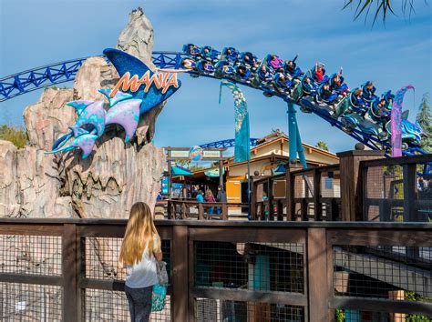 12 Best SeaWorld San Diego Rides That You Can't Miss - La Jolla Mom