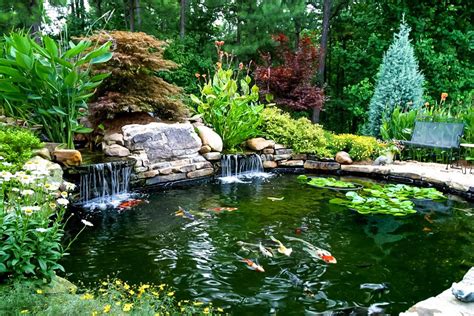 Ponds & Waterfalls 101 - Artistic Landscapes