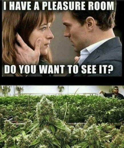 Marijuana Meme of the Day