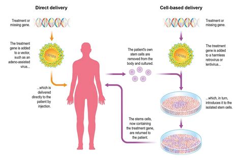 Delivering gene therapy | Feature | Chemistry World