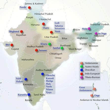 DNA points to India's two-pronged ancestry | Science News