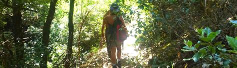 Hiking in Pelion - Ecotourism Greece