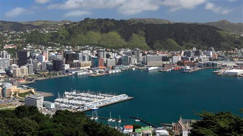 Eight tourists rescued from capsized kayaks in Wellington Harbour | Newshub