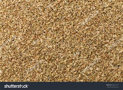 942 Ajwain seeds Images, Stock Photos & Vectors | Shutterstock