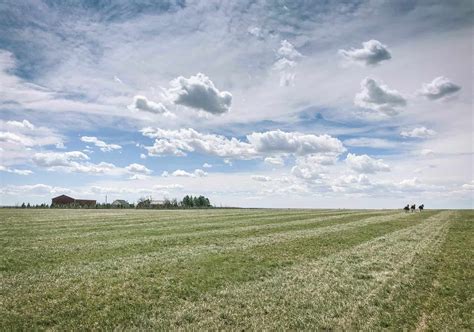 Daily Survival: How to Create and Maintain Pasture Land