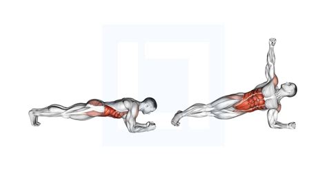 Front Plank With Twist - Guide, Benefits, and Form