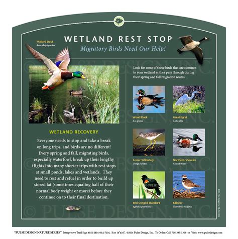 Outdoor Interpretive Nature Trail Sign in Birds of Wetlands & Waterfowl ...