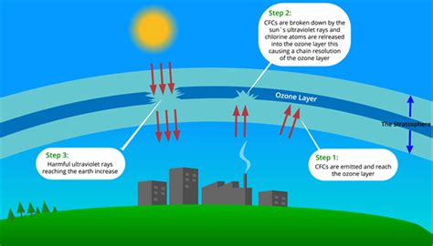 Ozone layer depletion- causes, effects and control measures — lesson ...