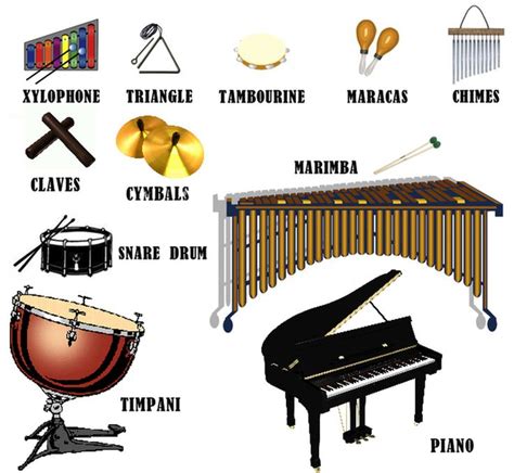 BEST!! PERCUSSION instruments are played by either striking (with hands ...