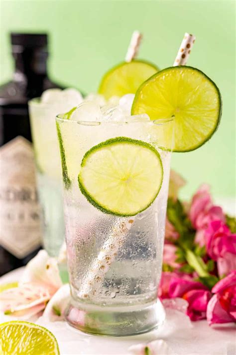 Classic Gin and Tonic Recipe - tips to make the best! - Rachel Cooks®