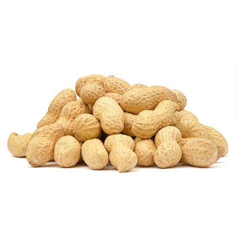 Peanuts, Raw, In Shell Jumbo - Nuts - Wholesale - Bulk - Nutsite