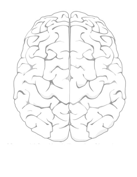 Brain Template Printable