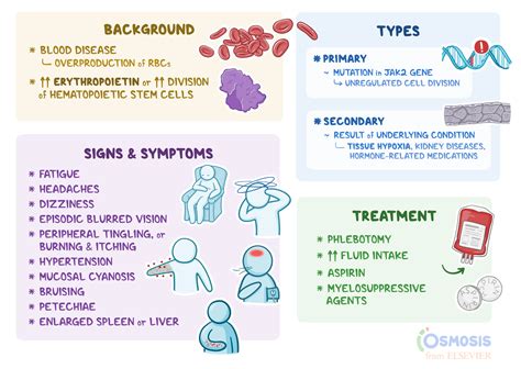 Polycythemia: What Is It | Osmosis