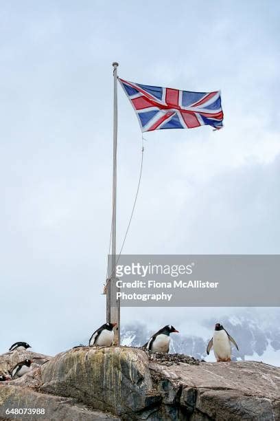 Flag Of Antarctica Photos and Premium High Res Pictures - Getty Images