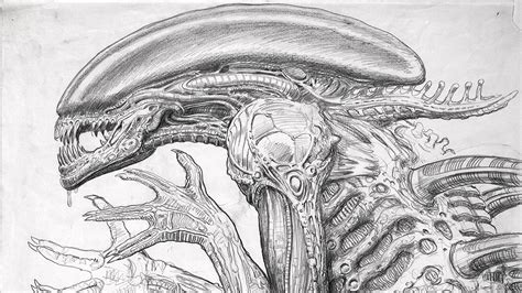 Xenomorph Drawing at PaintingValley.com | Explore collection of ...