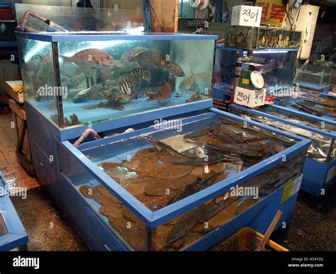 Live fish market hi-res stock photography and images - Alamy