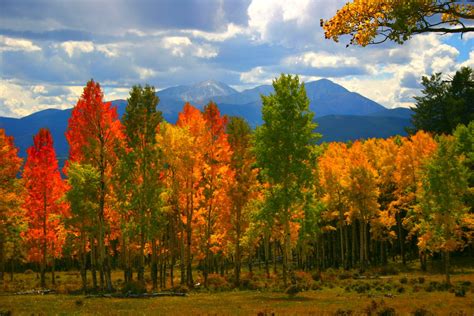 Best Places To See The Fall Colors In Colorado - Building Our Story