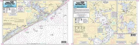 Amazon.com : Captain Segull's Inshore New River, NC, Fishing Nautical ...