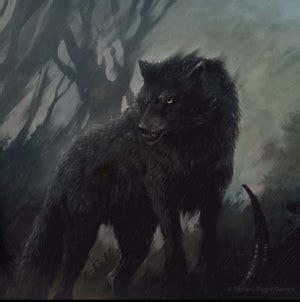 Direwolf - A Wiki of Ice and Fire