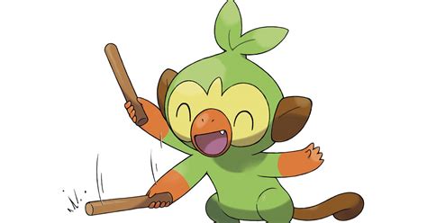 Pokémon Sword and Shield Grookey guide: Evolutions and best moves - Polygon