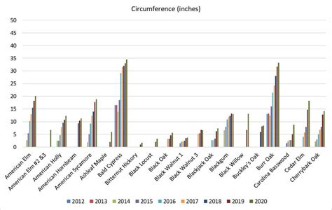 Growth Rates of Southern Native Trees - Southern Native Trees