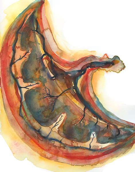 Placenta Watercolor Print | Impresión artística, Arte de acuarela, Arte ...