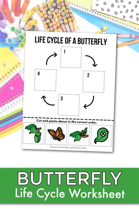 Free Butterfly Life Cycle Printable Homeschool Preschool – NBKomputer