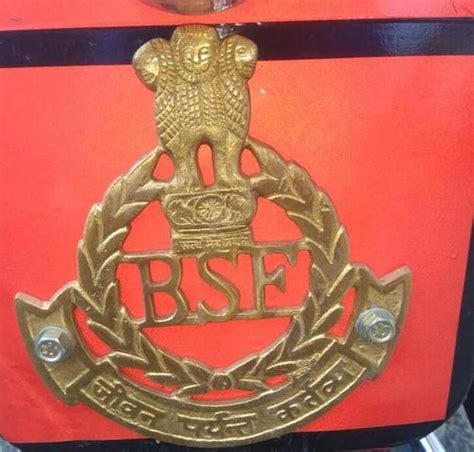 BSF Logo Manufacturer, BSF Logo Supplier, Trader in Delhi, India