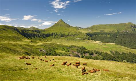 10 of the best national and regional parks in France | Park, France ...