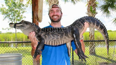 Hug a Baby Alligator - Captain Jack’s Airboat Tours