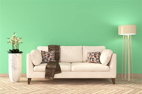 Green Room Colours For Your Home | Design Cafe