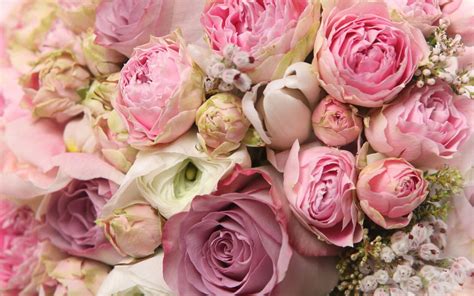 Peonies Bouquet Wallpaper