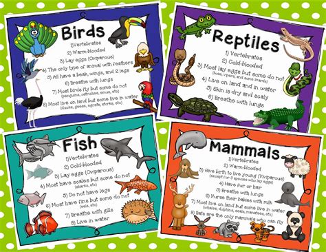 classification of animals for grade 2 - Clip Art Library