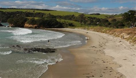 Top 10 Auckland Beaches