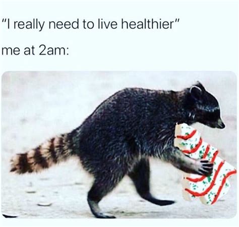 a raccoon holding a candy cane in it's mouth with the caption that ...