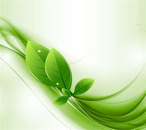 Green Leaf, HD wallpaper | Peakpx