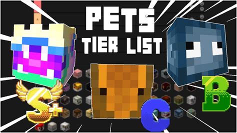 The ULTIMATE PETS TIER LIST | Hypixel Skyblock - YouTube