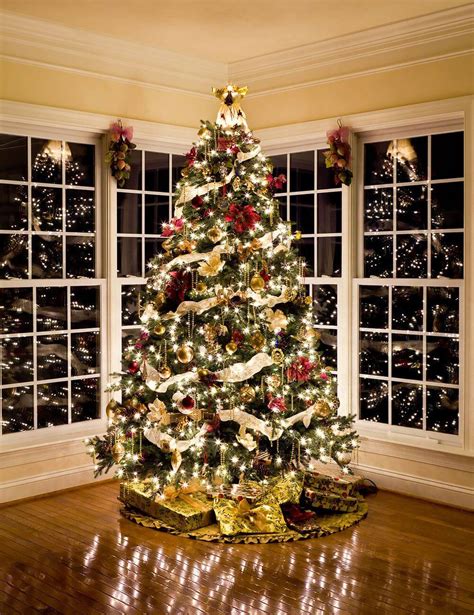 Best Christmas Tree Light Ideas To Make Your Home Shine - Architectures ...