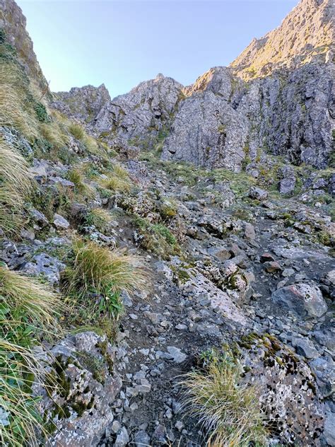 East Coast road trip and climbing Mt. Hikurangi — FIVE FOOT RONNA