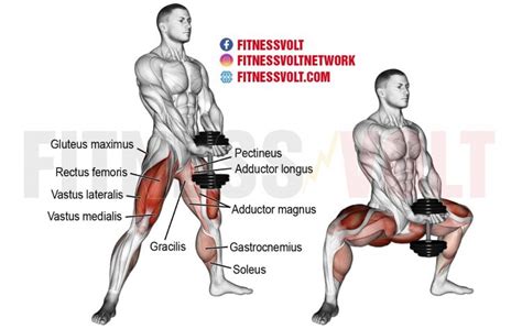 How To Do The Dumbbell Sumo Squat (Legs) ~ healthtasy.com