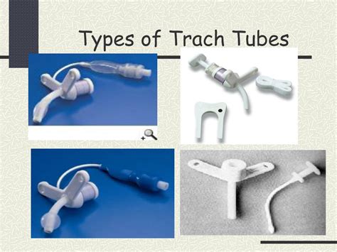 PPT - Tracheostomy Care for School Nurses PowerPoint Presentation, free ...