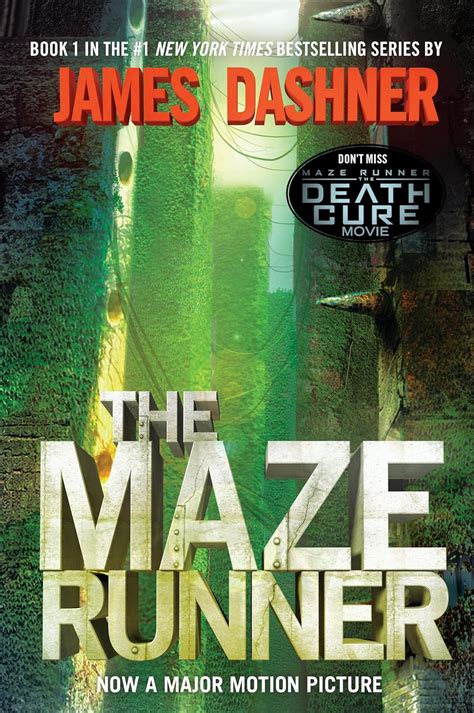 The Maze Runner Summary of Key Ideas and Review | James Dashner - Blinkist