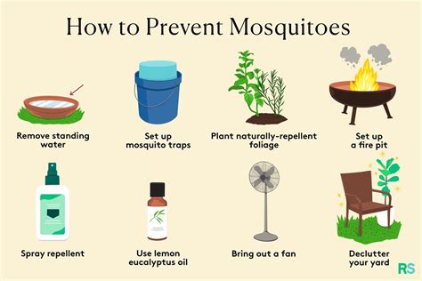 How to Avoid Mosquitoes in Backyard?: Ultimate Tips & Tricks