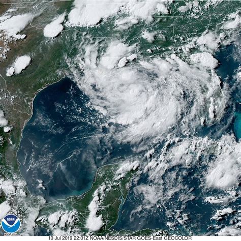 Tropical storm forms in the Gulf of Mexico