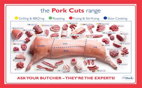 The Pork cuts range Infographic Chart 24"x35" (60cm/90cm) Canvas Print