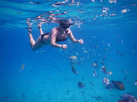 Cabos Best Snorkeling Tours - Things to do in Cabo San Lucas