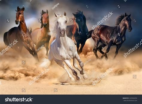 13,839 5 Horse Images, Stock Photos, 3D objects, & Vectors | Shutterstock